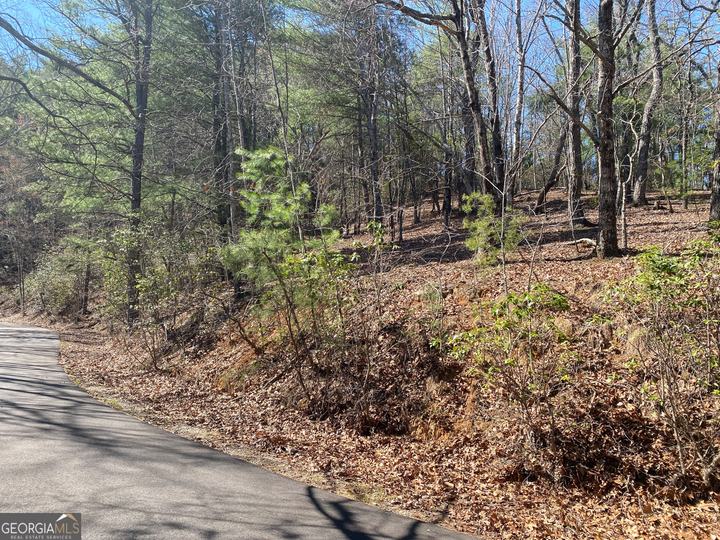 Lot 27 Lake Rabun Bluffs, Lakemont, GA - Image #5