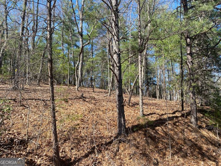 Lot 27 Lake Rabun Bluffs, Lakemont, GA - Image #6