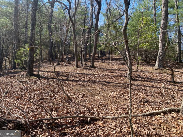 Lot 27 Lake Rabun Bluffs, Lakemont, GA - Image #7