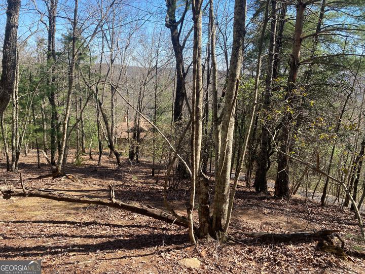 Lot 27 Lake Rabun Bluffs, Lakemont, GA - Image #8