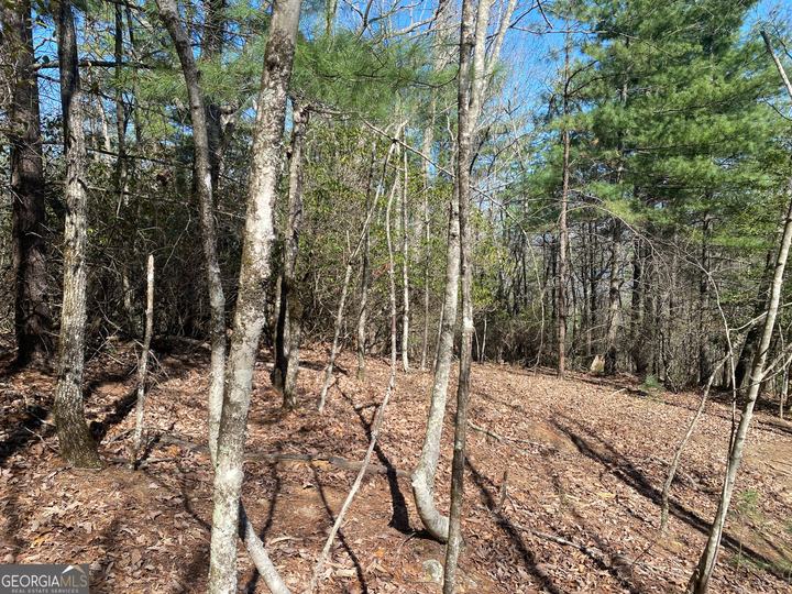 Lot 27 Lake Rabun Bluffs, Lakemont, GA - Image #9
