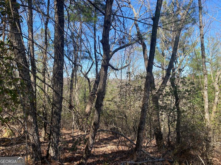 Lot 27 Lake Rabun Bluffs, Lakemont, GA - Image #10