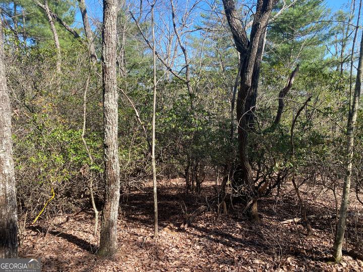 Lot 27 Lake Rabun Bluffs, Lakemont, GA - Image #11