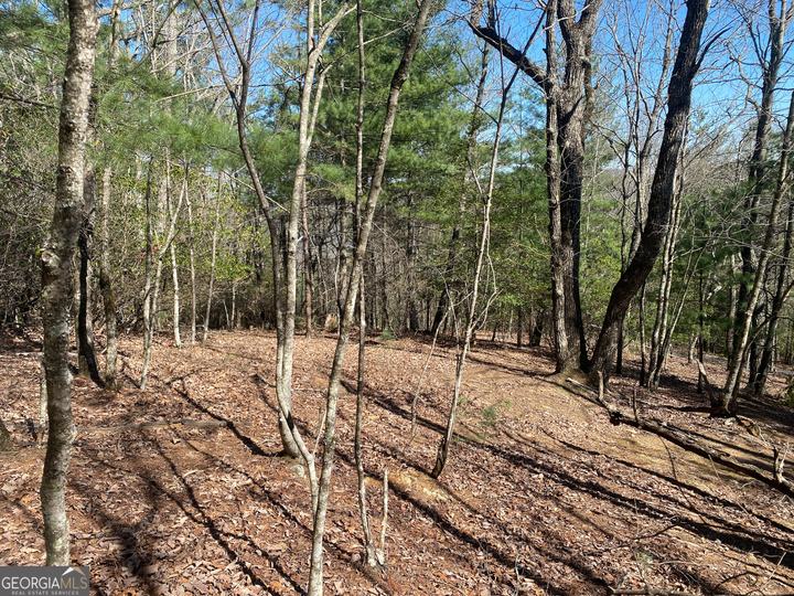 Lot 27 Lake Rabun Bluffs, Lakemont, GA - Image #12