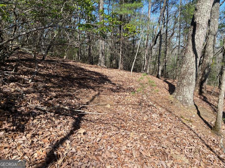 Lot 27 Lake Rabun Bluffs, Lakemont, GA - Image #13
