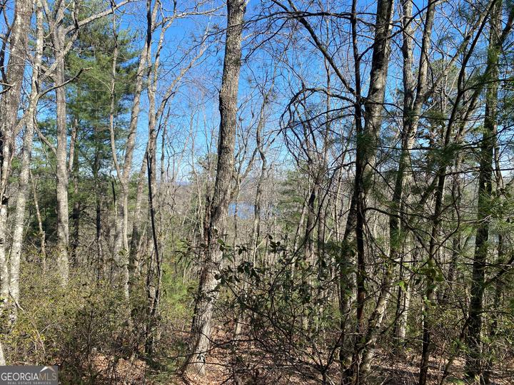 Lot 27 Lake Rabun Bluffs, Lakemont, GA - Image #14