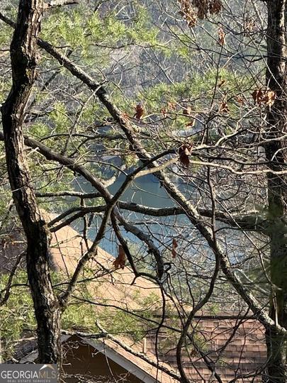 Lot 27 Lake Rabun Bluffs, Lakemont, GA - Image #15