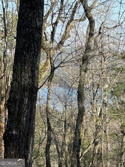 Lot 27 Lake Rabun Bluffs, Lakemont, GA - Image #16