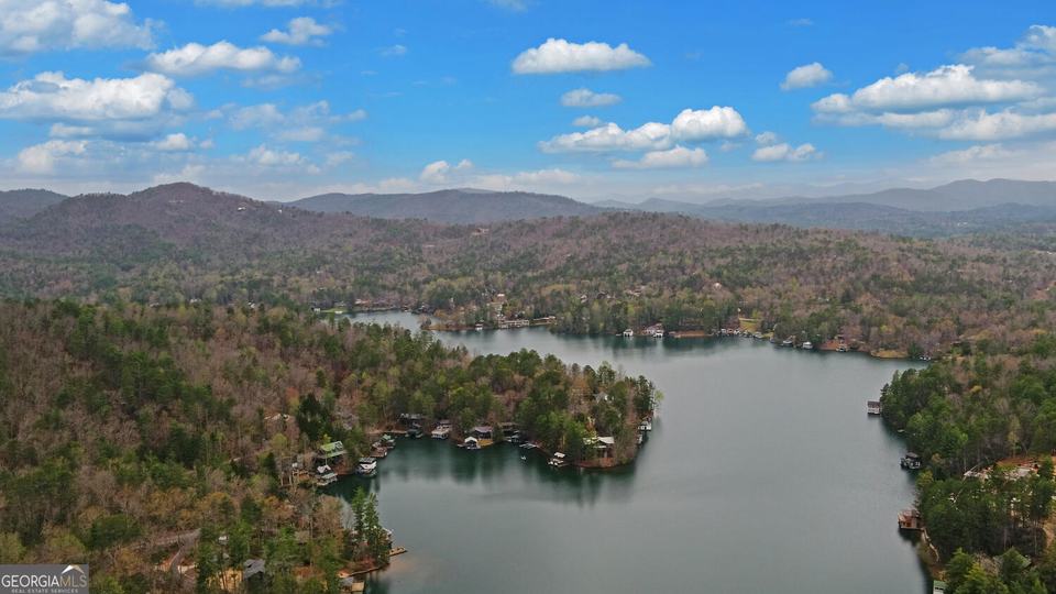 134 Ezzard LN, Lakemont, GA - Image #64