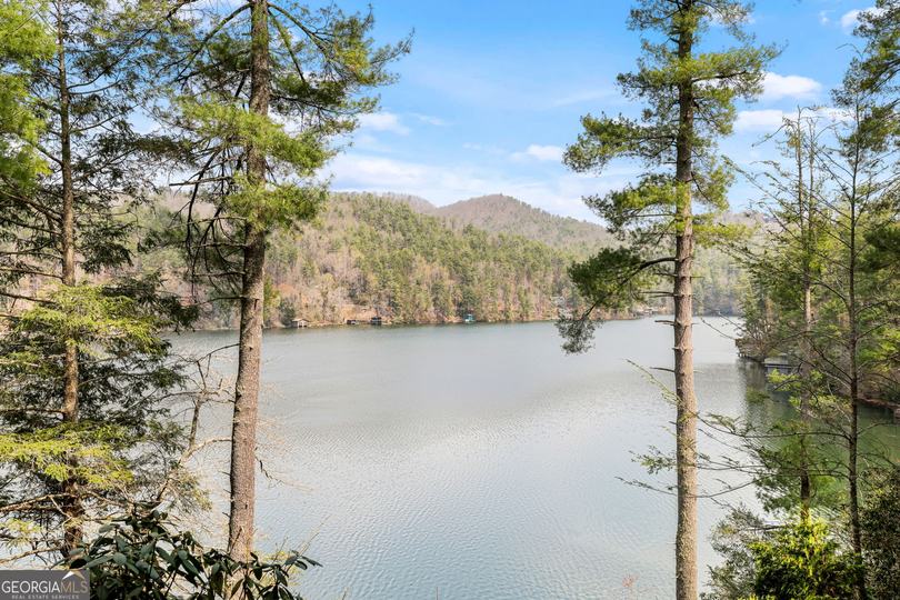 3914 Brandon Mill RD, Lakemont, GA - Image #47