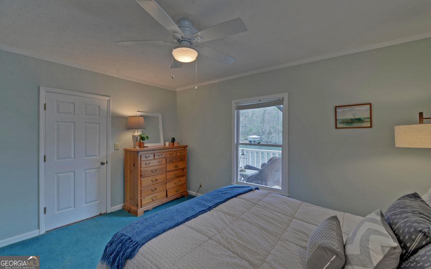 1431 Tame Turkey RD, Lakemont, GA - Image #35