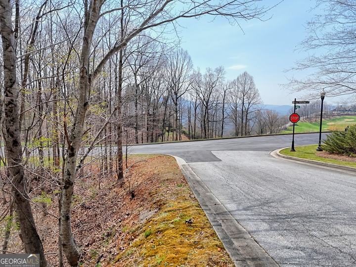 Lot 15 Waterfall DR, Clayton, GA - Image #3