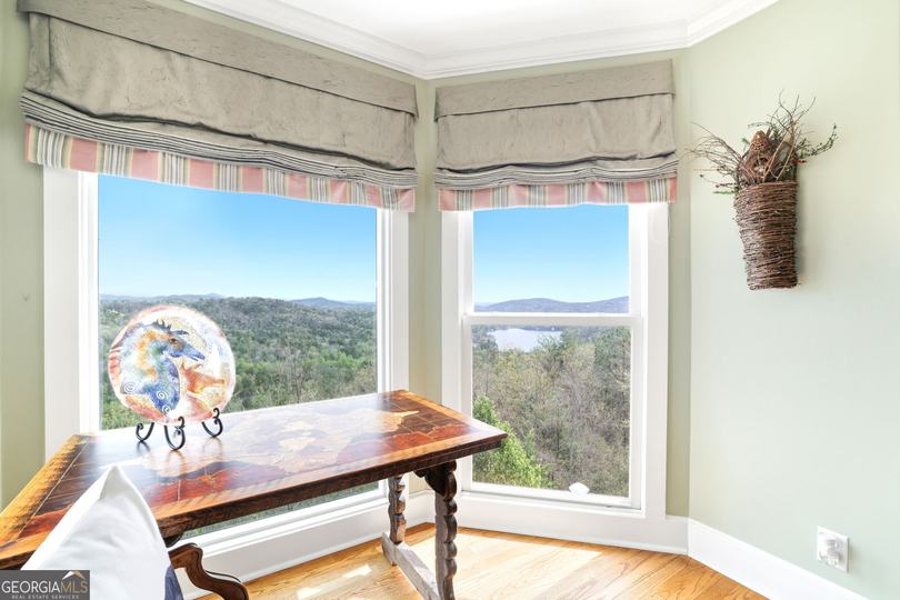 1171 Rabun Bluffs DR, Lakemont, GA - Image #38