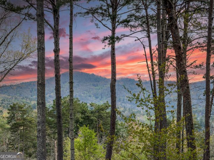 133 Oasis Ridge RD, Lakemont, GA - Image #75