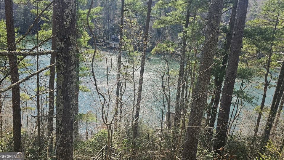 91 Dragway LN, Lakemont, GA - Image #21