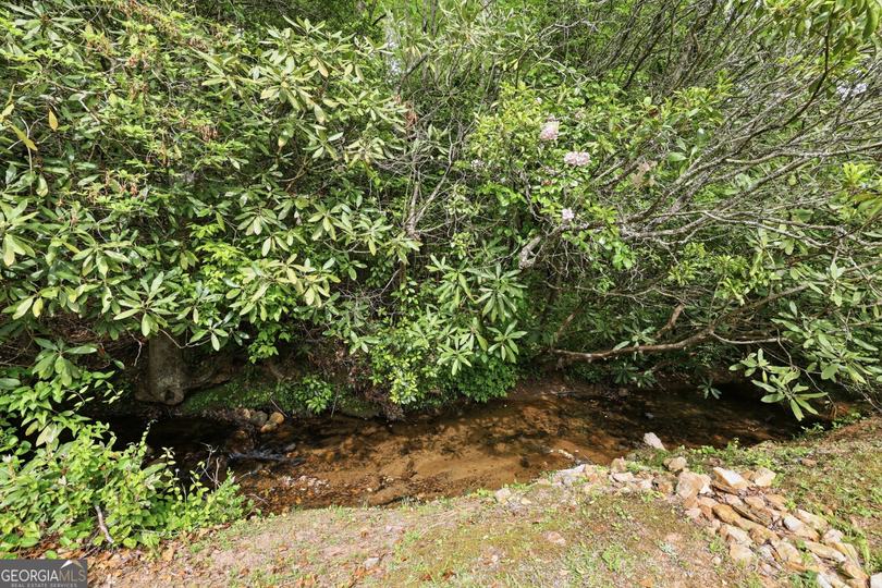 4960 Laurel Lodge Lot 2 RD, Clarkesville, GA - Image #25