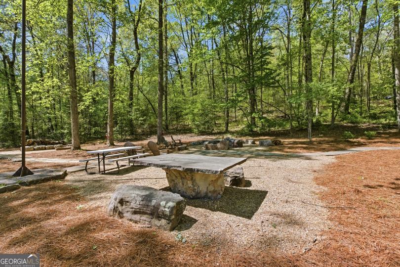 4960 Laurel Lodge Lot 2 RD, Clarkesville, GA - Image #39