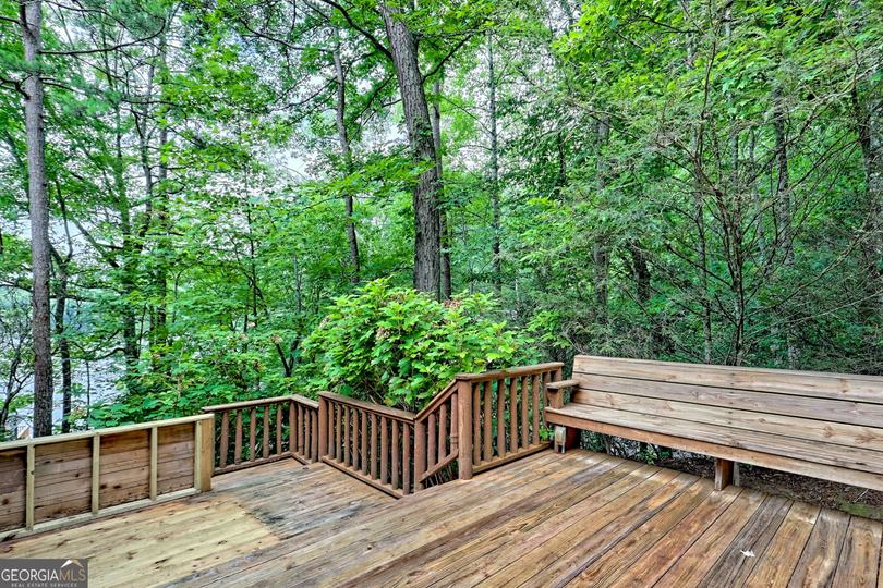 3019 Moccasin Creek RD, Clarkesville, GA - Image #29