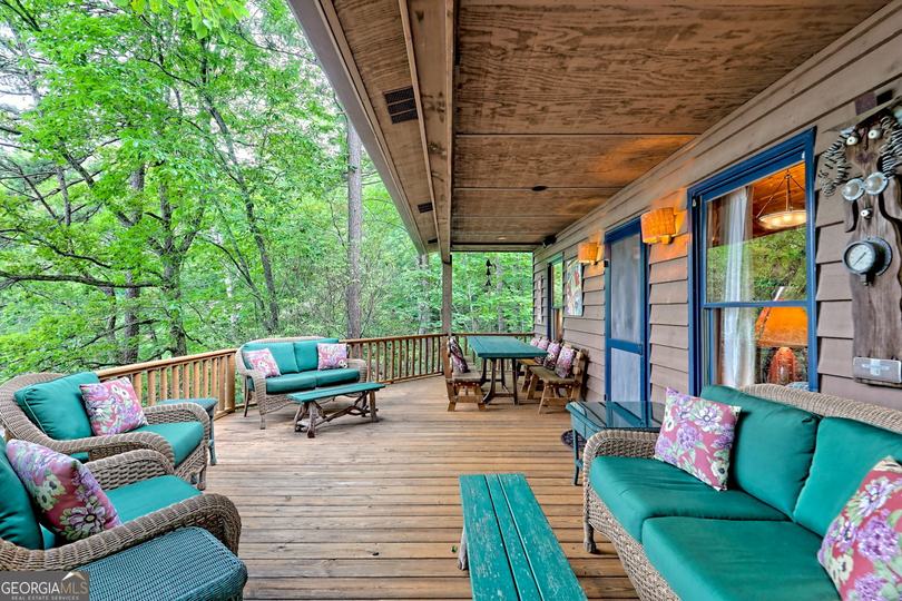 3019 Moccasin Creek RD, Clarkesville, GA - Image #40