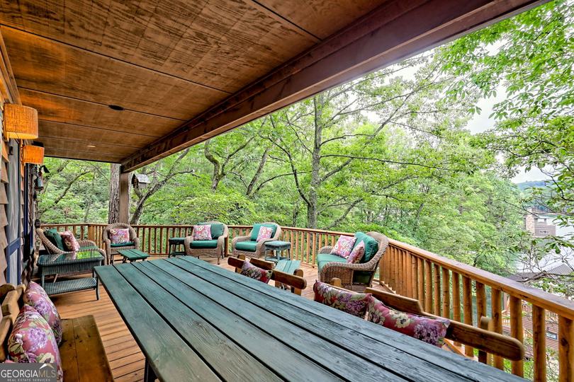 3019 Moccasin Creek RD, Clarkesville, GA - Image #41