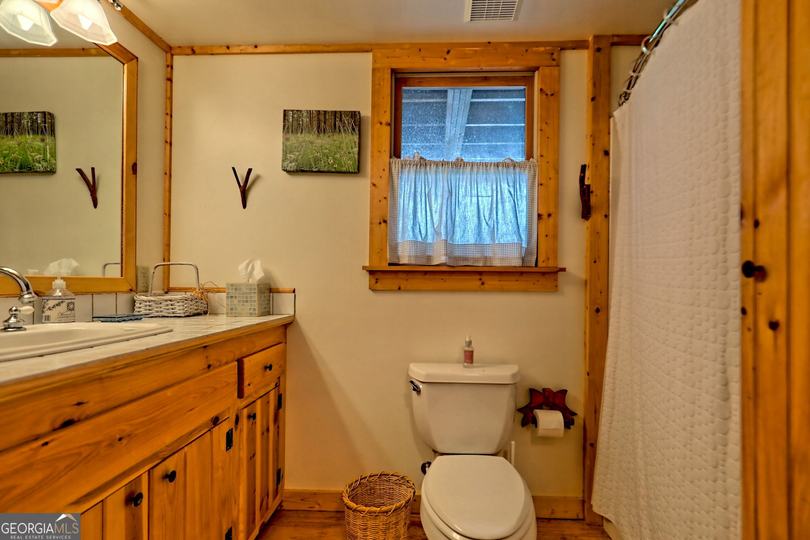 3019 Moccasin Creek RD, Clarkesville, GA - Image #48