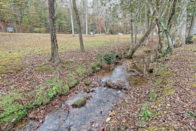 4960 Laurel Lodge #41 RD, Clarkesville, GA - Image #32