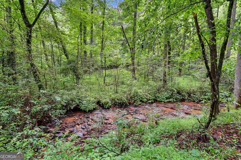 5637 Murray Cove RD, Tiger, GA - Image #54
