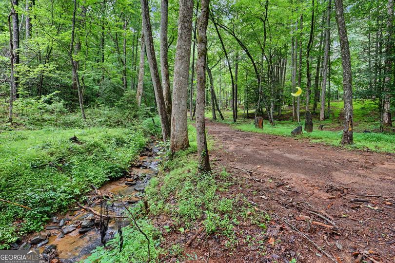 5637 Murray Cove RD, Tiger, GA - Image #55