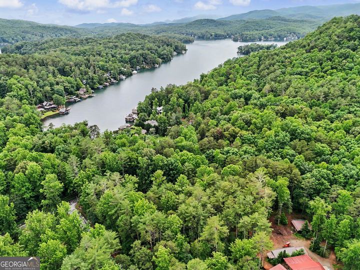 5637 Murray Cove RD, Tiger, GA - Image #62