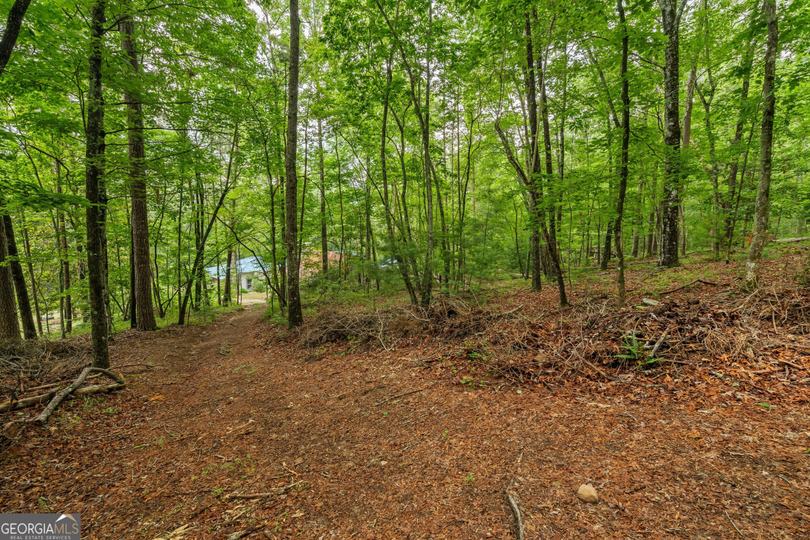 63 + 84 Loudermilk LN, Lakemont, GA - Image #76
