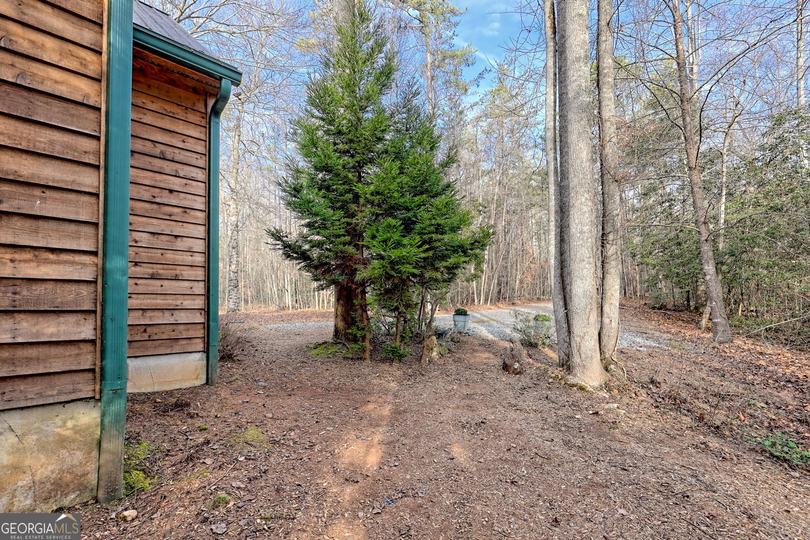341 Brookwood LN, Clarkesville, GA - Image #66