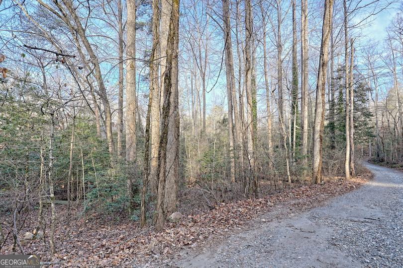 341 Brookwood LN, Clarkesville, GA - Image #70
