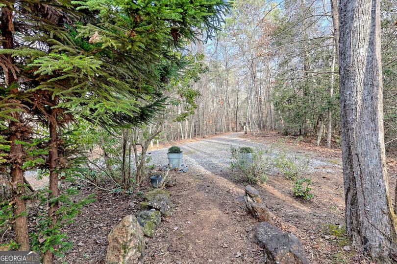 341 Brookwood LN, Clarkesville, GA - Image #72