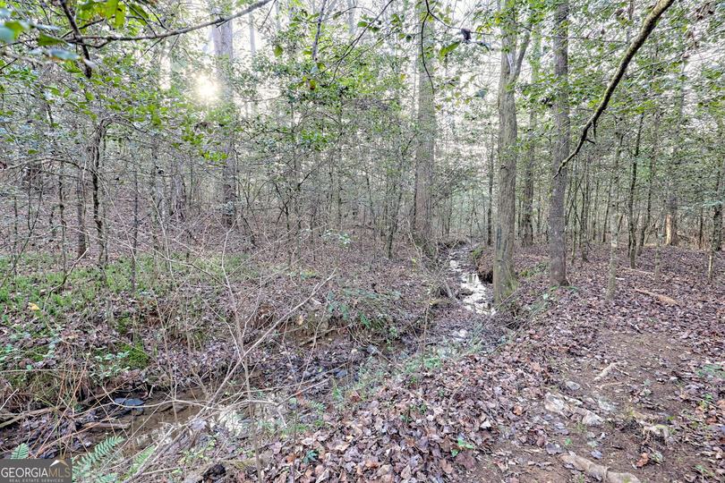 341 Brookwood LN, Clarkesville, GA - Image #74
