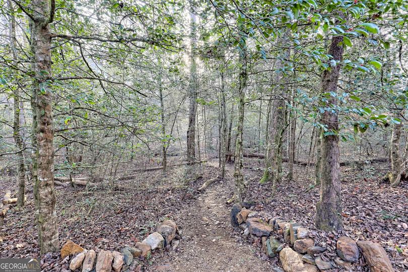 341 Brookwood LN, Clarkesville, GA - Image #75