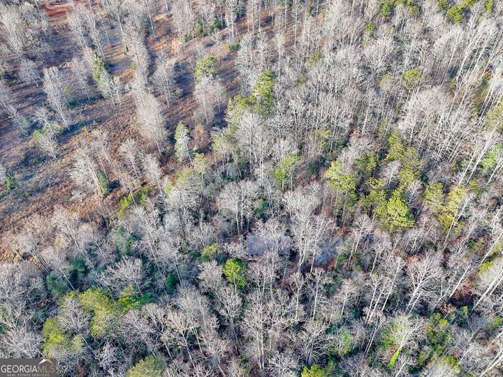 341 Brookwood LN, Clarkesville, GA - Image #76