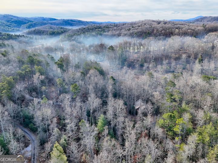 341 Brookwood LN, Clarkesville, GA - Image #77