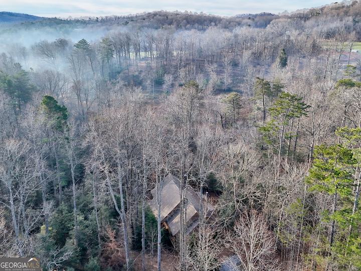 341 Brookwood LN, Clarkesville, GA - Image #78