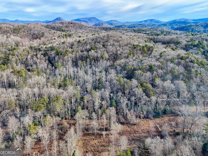 341 Brookwood LN, Clarkesville, GA - Image #79