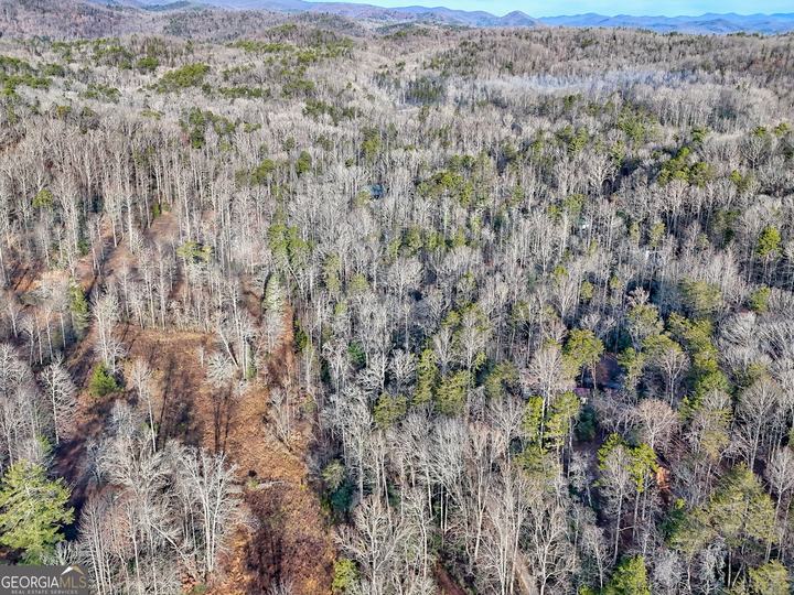 341 Brookwood LN, Clarkesville, GA - Image #80