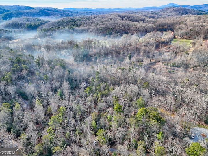 341 Brookwood LN, Clarkesville, GA - Image #81