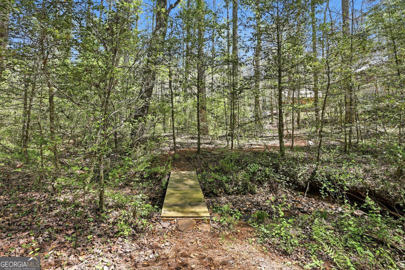 341 Brookwood LN, Clarkesville, GA - Image #84