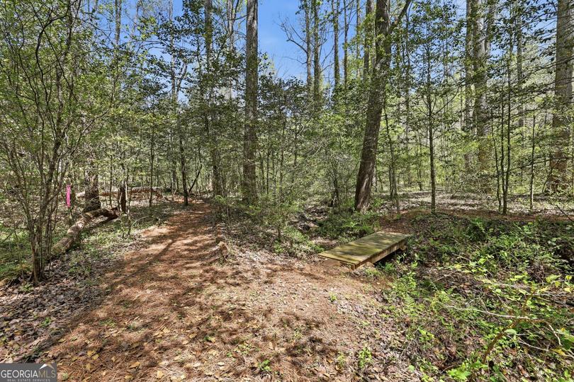 341 Brookwood LN, Clarkesville, GA - Image #86