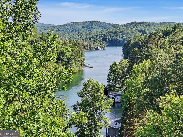 276 Fulton RD, Tiger, GA - Image #51
