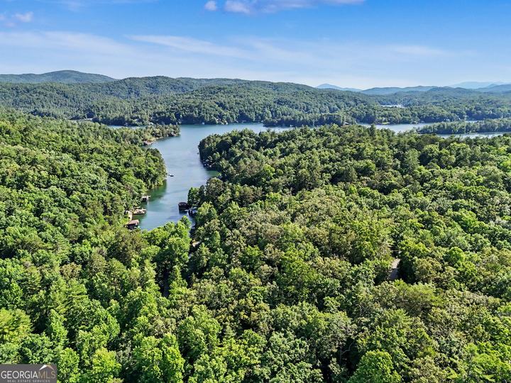 276 Fulton RD, Tiger, GA - Image #52