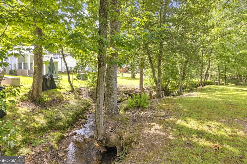 4960 Laurel Lodge RD, Clarkesville, GA - Image #37
