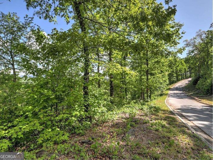 Bent Grass Way, Clayton, GA - Image #12