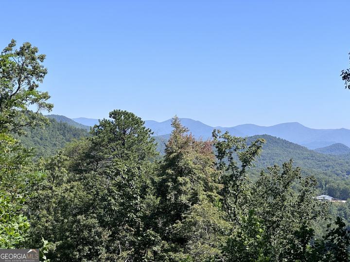 Ivy Ridge, Clarkesville, GA - Image #3