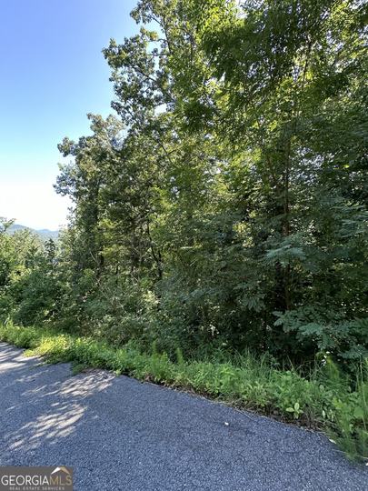 Ivy Ridge, Clarkesville, GA - Image #4