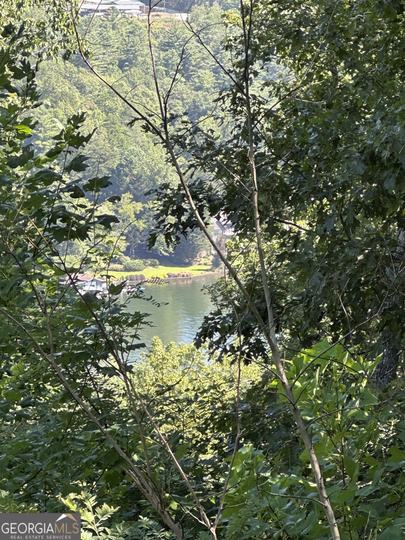 Ivy Ridge, Clarkesville, GA - Image #5